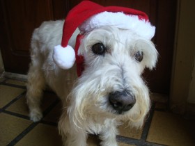 Stoppa Natal