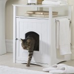 cat litter box