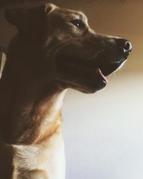 Processed with VSCO with m3 preset